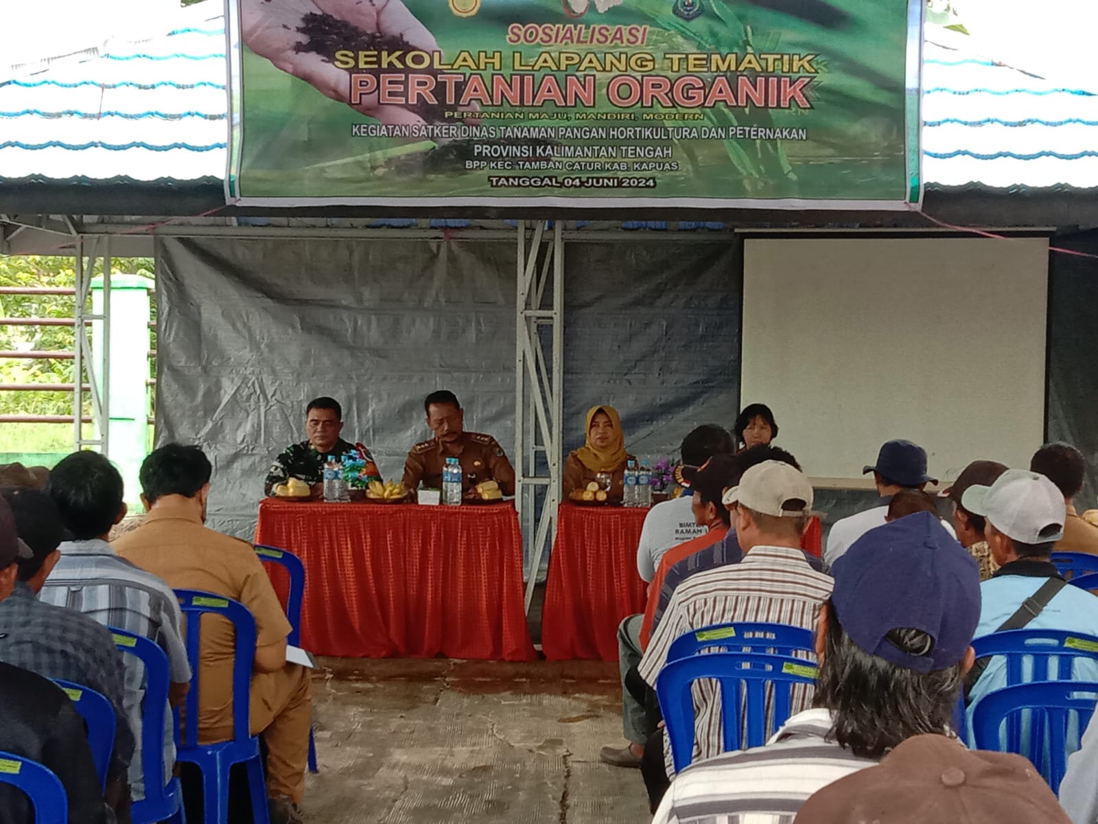 Pelaksanaan sosialisasi sekolah lapang tematik pertanian organik dinas pertanian kab. kapuas