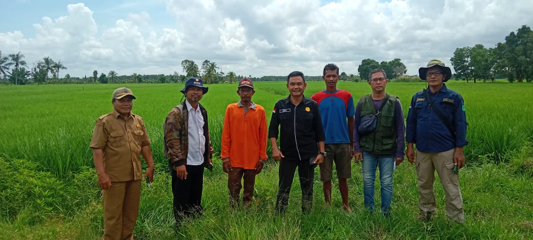 pelaksanaan deskripsi varietas padi lokal spesifik lokasi di Kecamatan Kapuas Timur