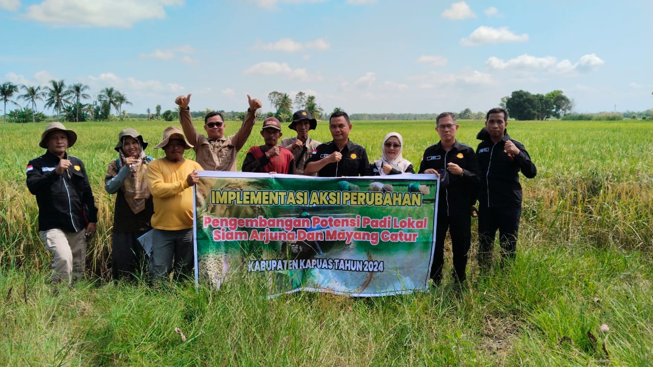 pelaksanaan deskripsi varietas padi lokal spesifik lokasi di Kecamatan Kapuas Timur