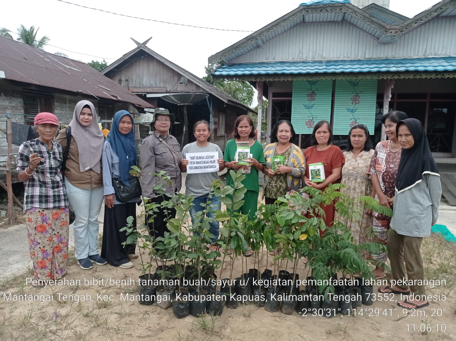 Penyaluran Benih Cabai dan Bibit Buah-buahan untuk Pemanfaatan Lahan Pekarangan oleh KWT Bunga Lestari di Desa Mantangai Hilir