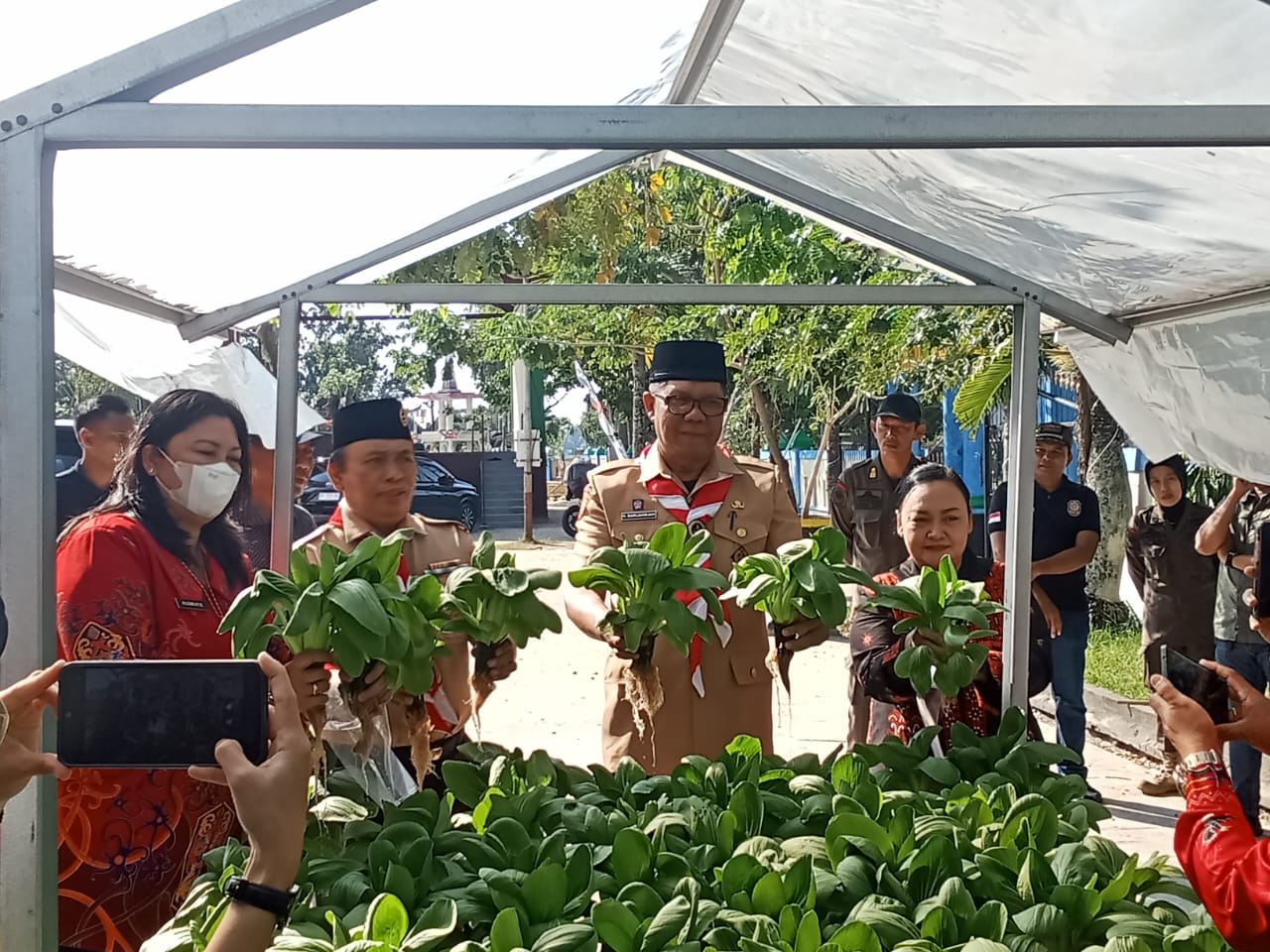 Pejabat Bupati Kapuas Panen Hasil Hidroponik Binaan Dinas Perpustakaan