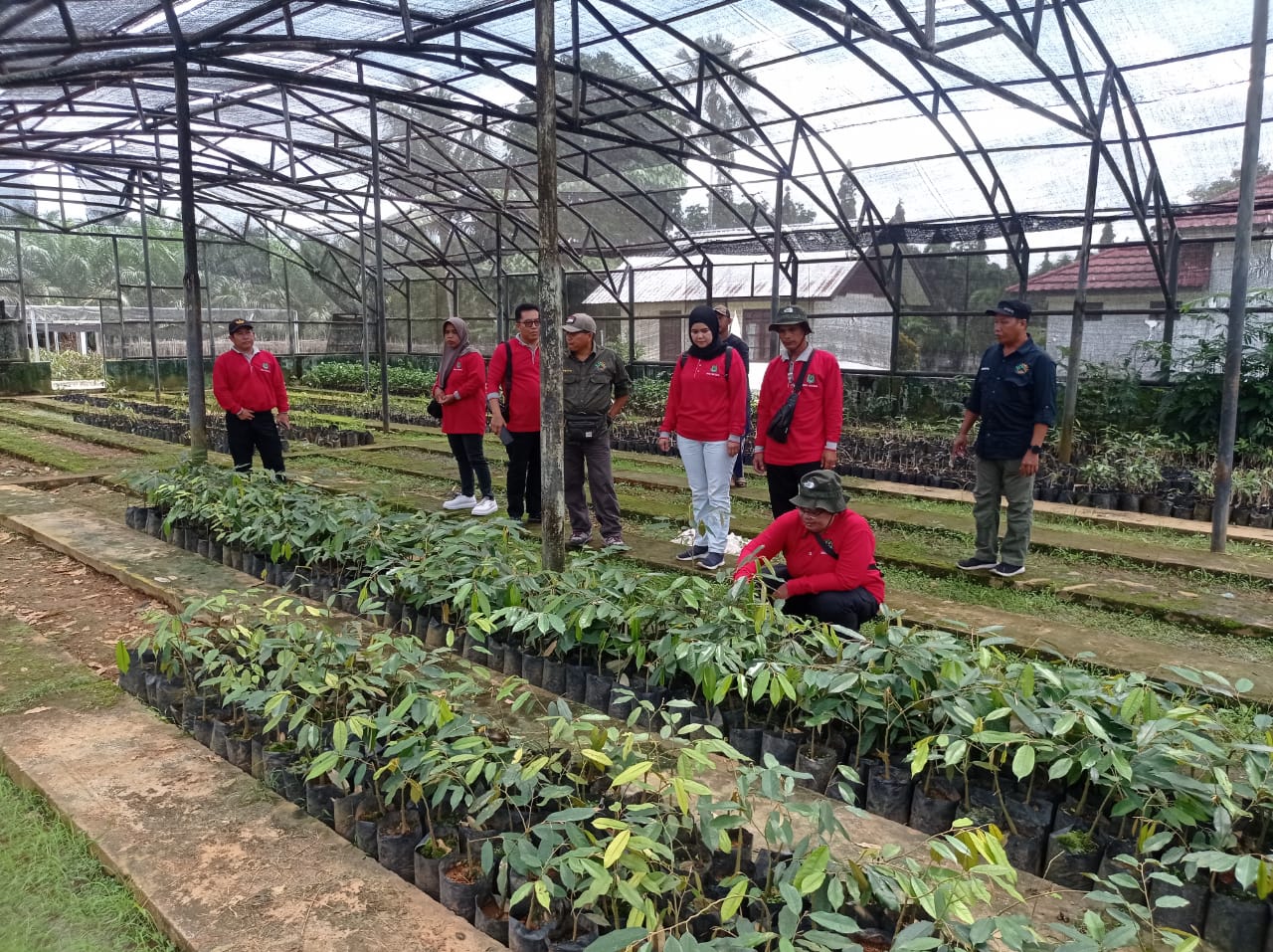 Dinas Pertanian Kapuas Lakukan Studi Banding ke Balai Besar Hortikultura Keruing