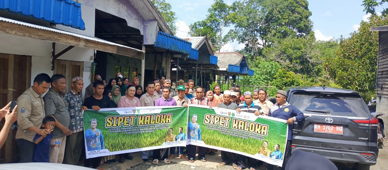 Dinas Pertanian Kapuas Sosialisasikan Sipet Kaloka Untuk Tingkatkan Produksi Padi Berkualitas