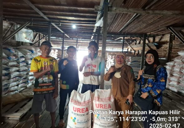 Dinas Pertanian Kabupaten Kapuas Kawal Penyaluran Pupuk Bersubsidi di Kapuas Hilir dan Bataguh