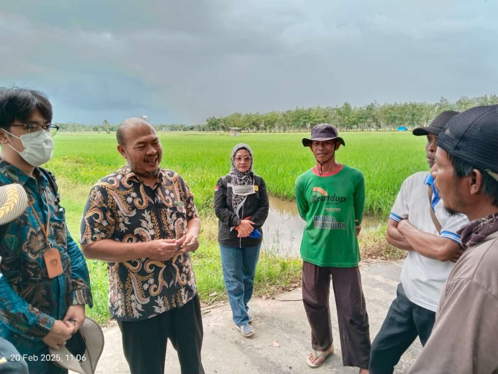 Serap Gabah Kabupaten Kapuas