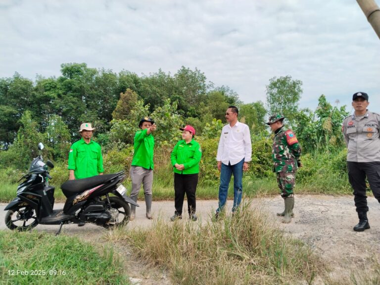 Panen Perdana Varietas M70D di Desa Sido Mulyo